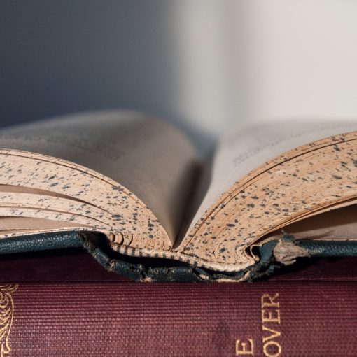 book, reading, literature