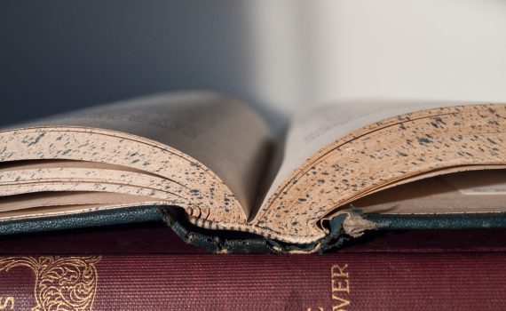 book, reading, literature