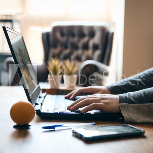 Teletrabajo, manos sobre portatil en casa  con movil macetas en cuarentena
