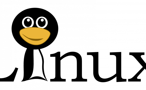 linux, logo, penguin