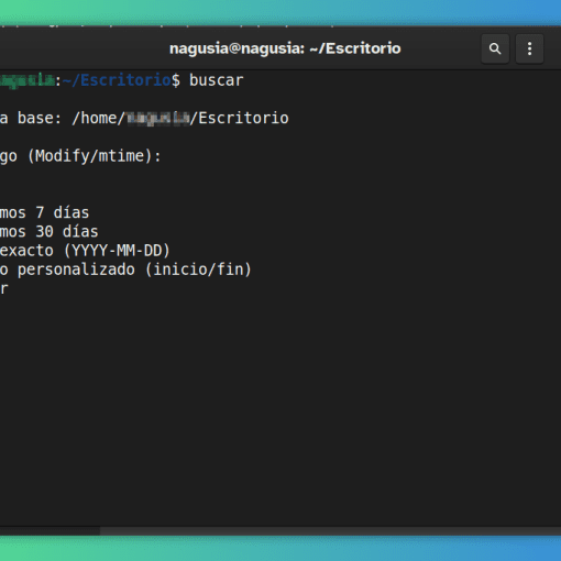 Ventana del terminal donde se escribe la palabra buscar